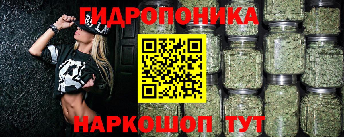Канабис план  Канабис THC 21%  Шишки марихуана OG Kush  Вход с VPN  Волжск  МАРИХУАНА Bruce Banner 